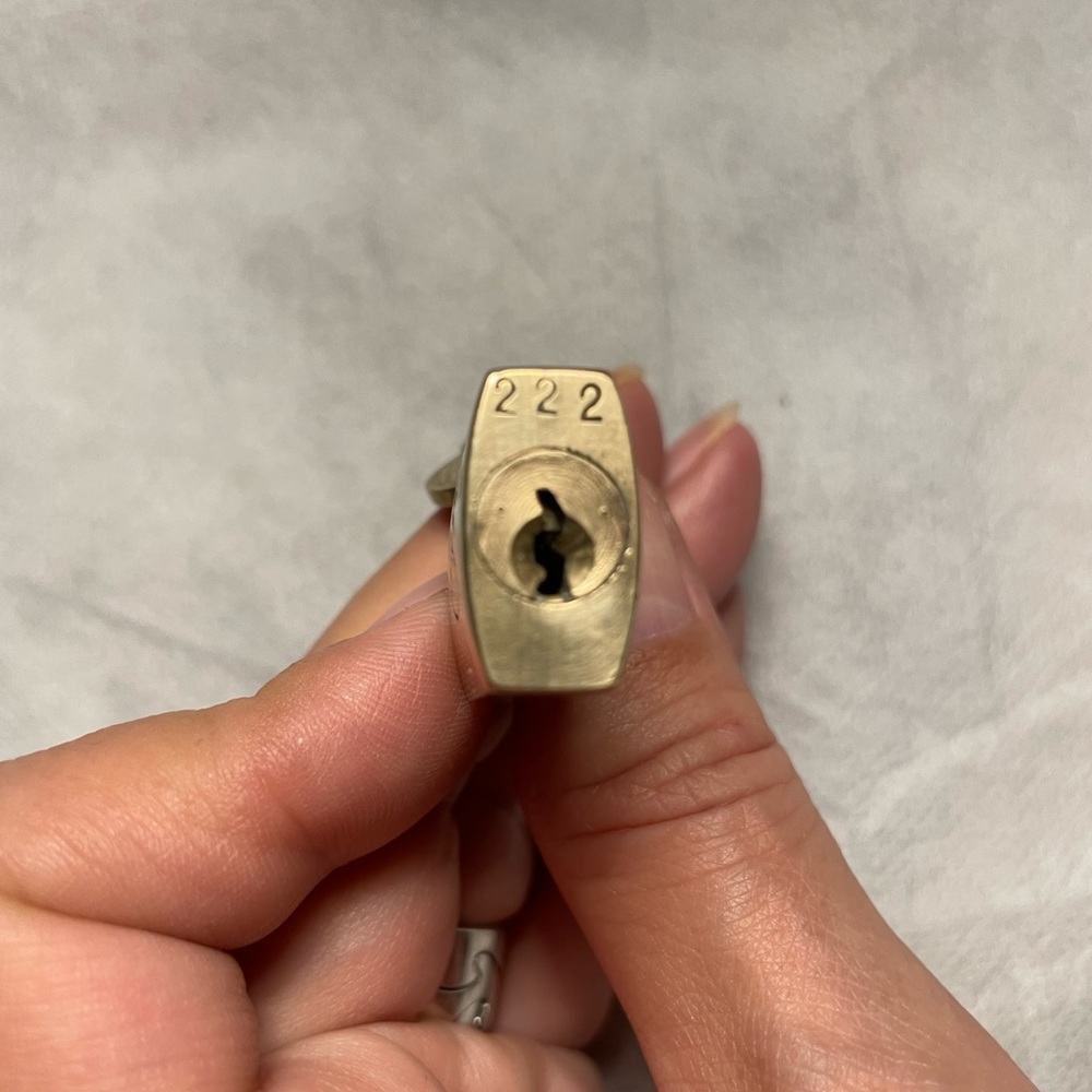 LV Louis Vuitton lock & key #222 🔐